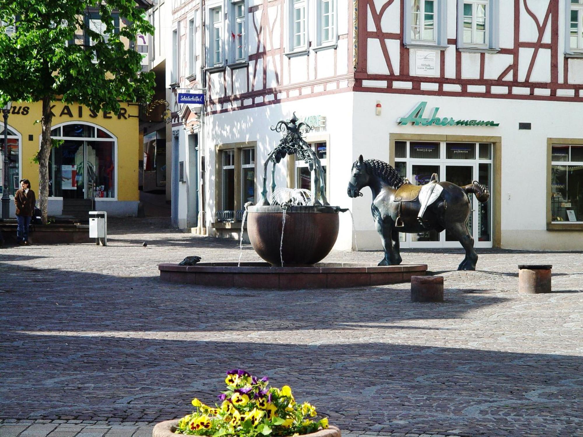 2 Zimmer Wohnung, Kueche, Bad, Balkon, Netflix Alzey Exterior photo